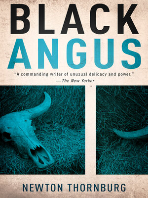 cover image of Black Angus